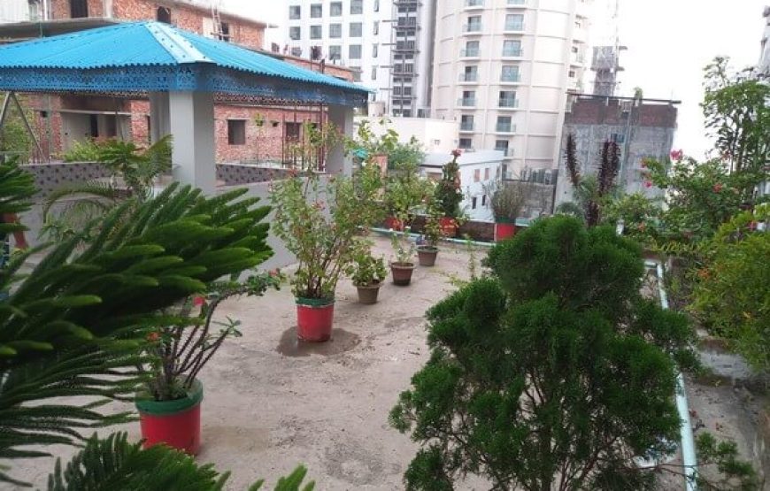Rain View Resort